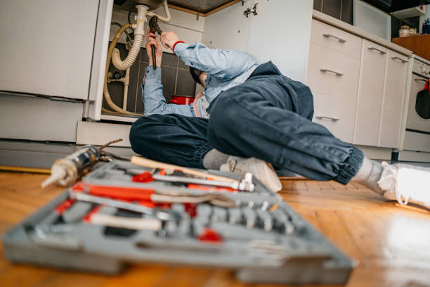 Best Clogged Drain Plumber  in Chandler, IN