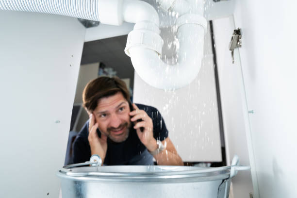 Best Plumbing Repair Near Me  in Chandler, IN